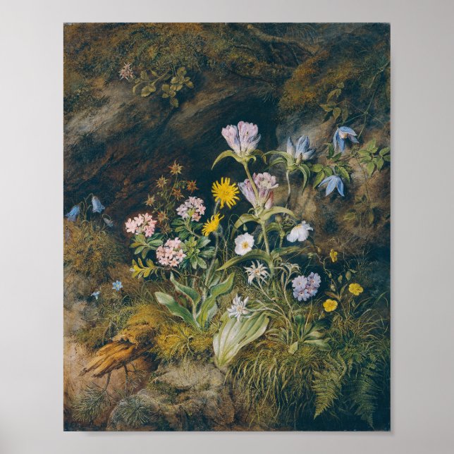 Poster Flore alpine | Theodor Petter (Devant)