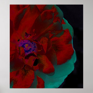 Poster Flore des beaux-arts
