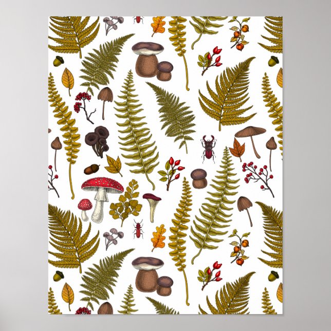 Poster Flore et faune boisées 2 (Devant)