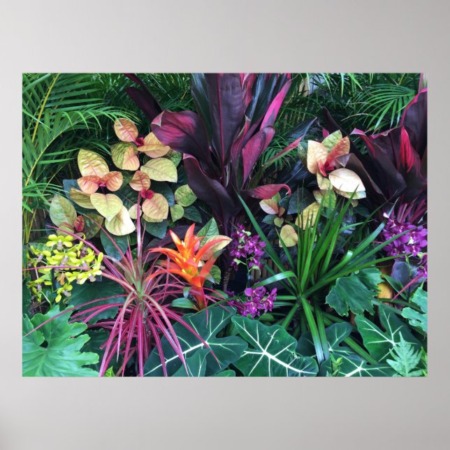 Poster Flore hawaïenne tropicale (Devant)
