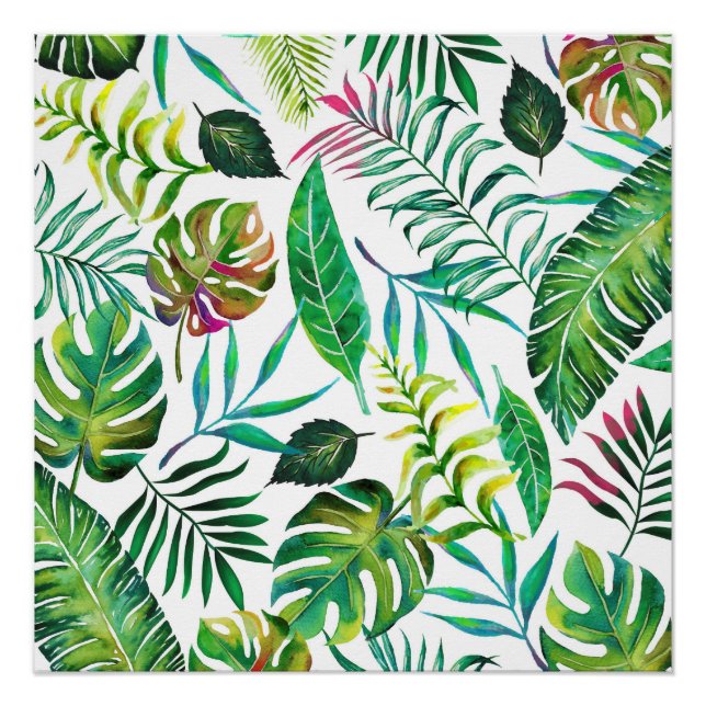 Poster Flore tropicale (Devant)