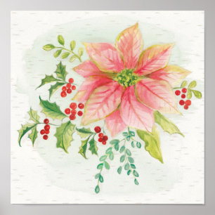Poster Flores hivernales   Poinsettia rose