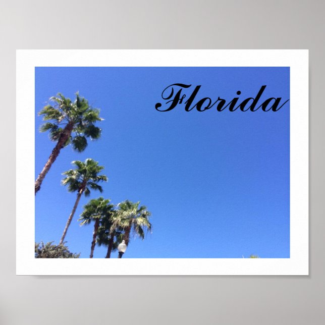 Poster Florida Blue Sky (Devant)