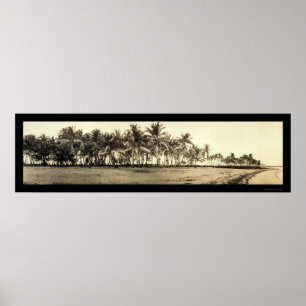 Poster Florida Keys Fishing Photo 1912