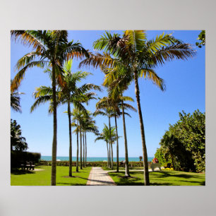 POSTER FLORIDA PLAGE PALMIERS PARC TROPICAL