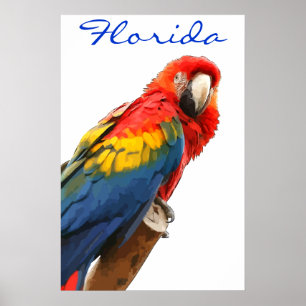 Poster Florida Scarlet Macaw