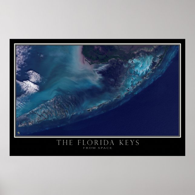Poster Floride clés de l'espace Carte satellite (Devant)