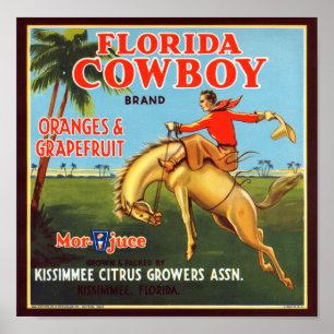 Poster Floride Cowboy