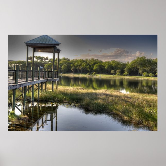 Poster Floride Everglades (Devant)