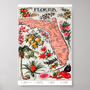 Poster Floride - La carte de l'état des Everglades