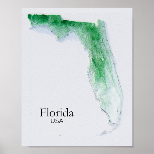 Poster Floride Plan de secours Texture verte (Devant)