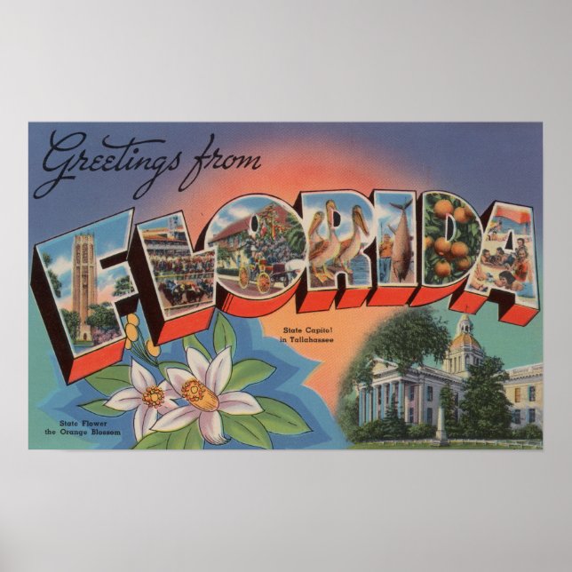 Poster Floride (Scène de la capitale de l'État) (Devant)