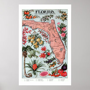 Poster Floride vintage Everglade État Fruits et Fleurs
