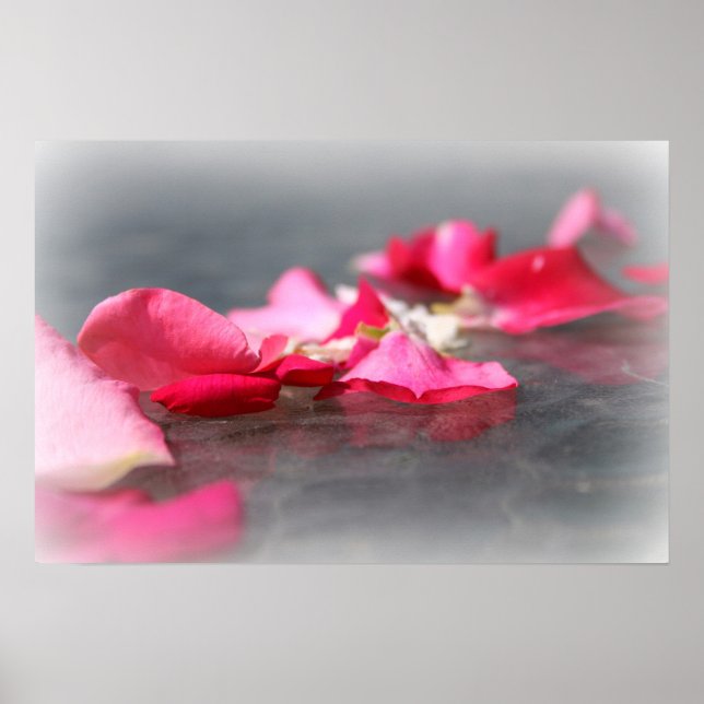 Poster flottant de pétales roses sur l'eau (Devant)