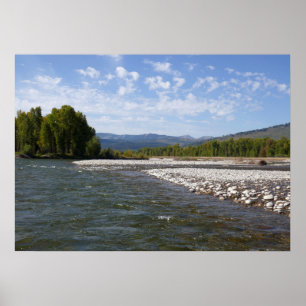 Poster Flottant sur la rivière Snake I