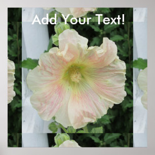 Poster Flower Hollyhock