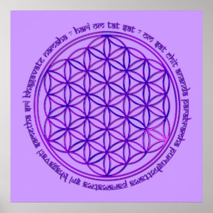 Poster Flower Of Life - Moola Mantra - violet