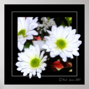 Poster Flower power