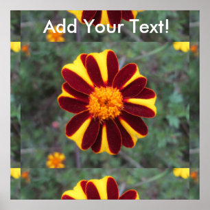 Poster Flower rouge jaune