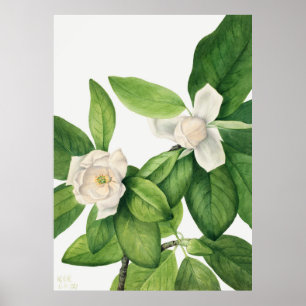 Poster Flowers 3