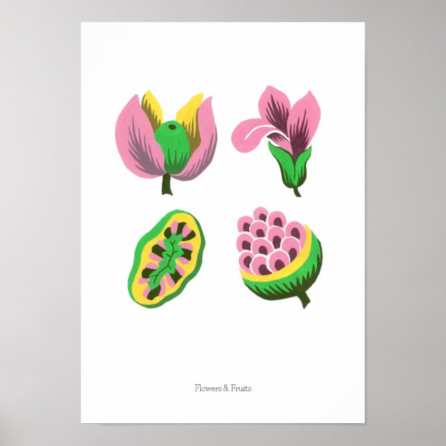 Poster Flowers & Fruits (Devant)