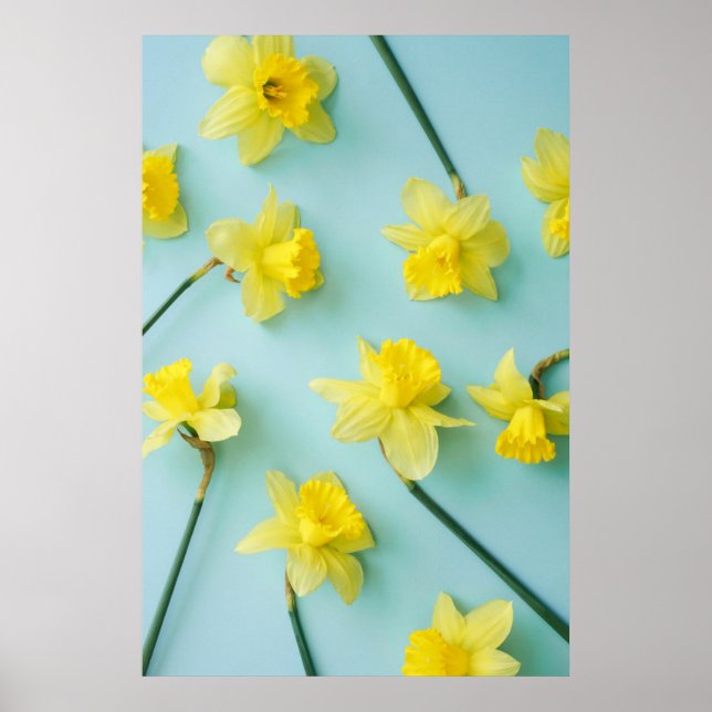 Poster Flowers (homonymie) | Daffodils (Devant)