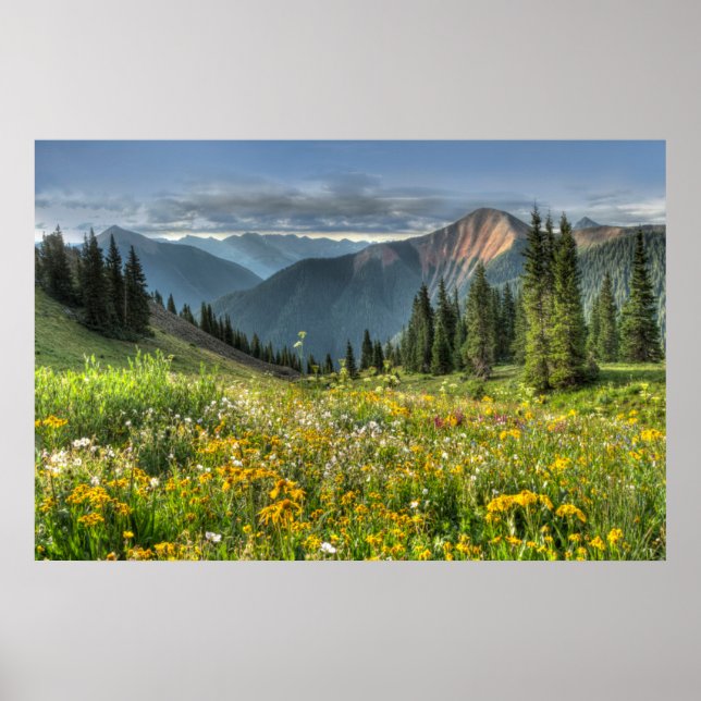 Poster Flowers (homonymie) | Wildflowers Silverton Colora (Devant)