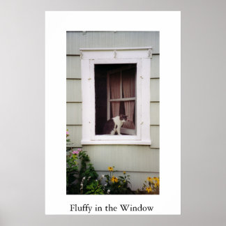 Poster Fluffy dans la fenêtre
