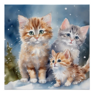 Poster Fluffy Kittens