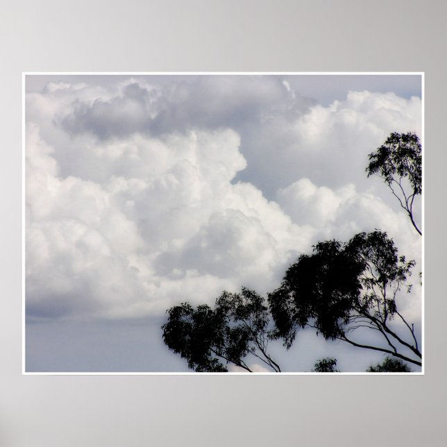 Poster Fluffy White (Devant)