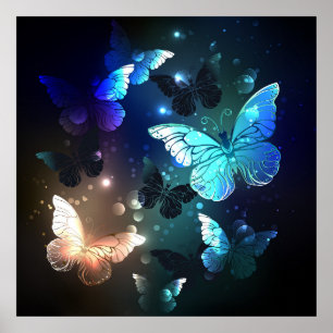 Poster Fluttering Night Butterfly