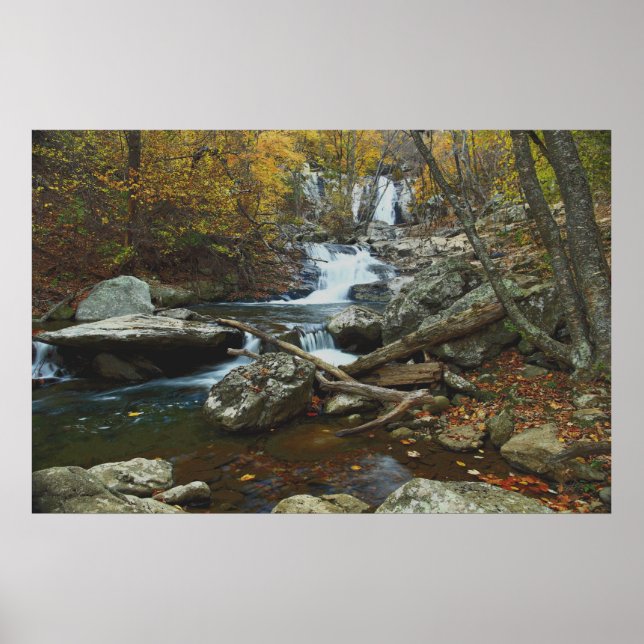 Poster flux (Devant)