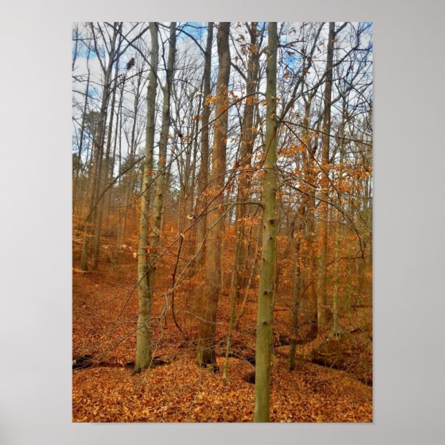 Poster Flux Automne (Devant)