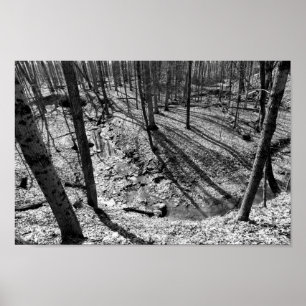 Poster Flux dans Highbanks Metropark (noir/blanc)