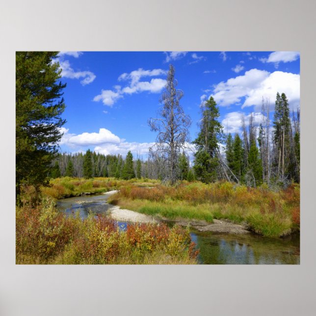 Poster Flux près du lac Redfish, Idaho. (Devant)