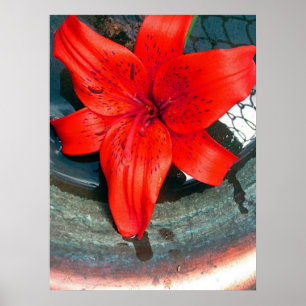 Poster Flux Saturne