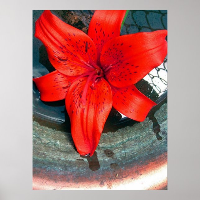 Poster Flux Saturne (Devant)