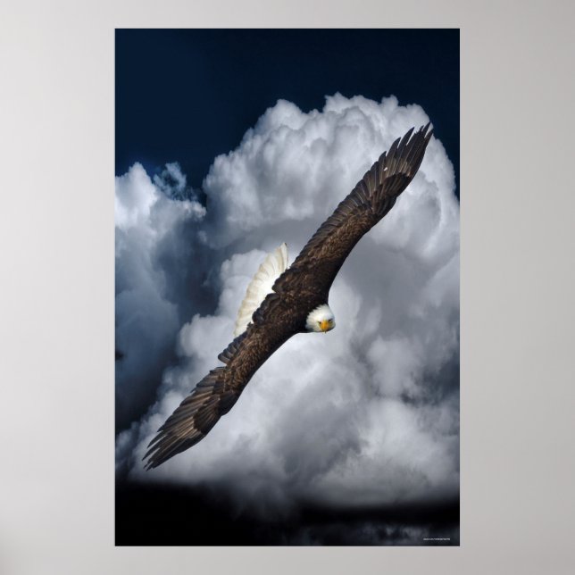 Poster Flying Bald Eagle and Nuages Wildlife Photo Print2 (Devant)