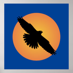 Poster Flying eagle at front of the sun