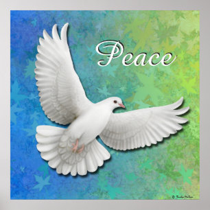 Poster Flying White Peace Dove Print