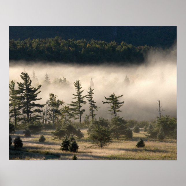 Poster Fog du matin dans les Adirondacks (Devant)