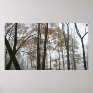 Poster Foggy Fall en Pennsylvanie Automne Nature