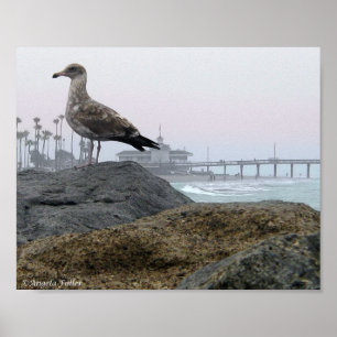 Poster Foggy Morning in Newport Beach Print