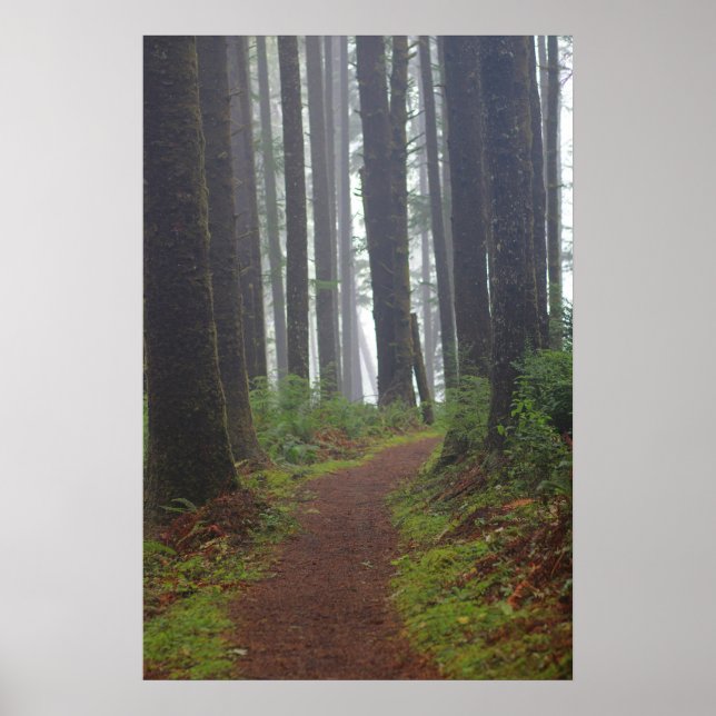 Poster Foggy morning, (Semi-Gloss) (Devant)