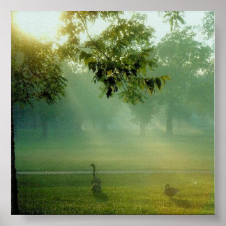 Poster foggyne