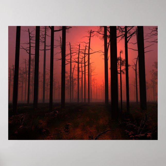 Poster Foie couché de soleil (Devant)