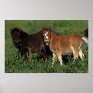 Poster Foies miniatures en herbe