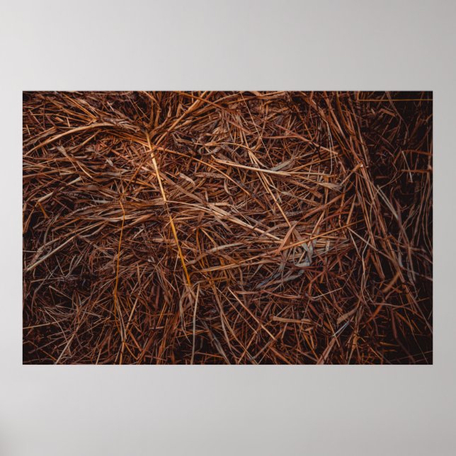 Poster foin Brown (Devant)