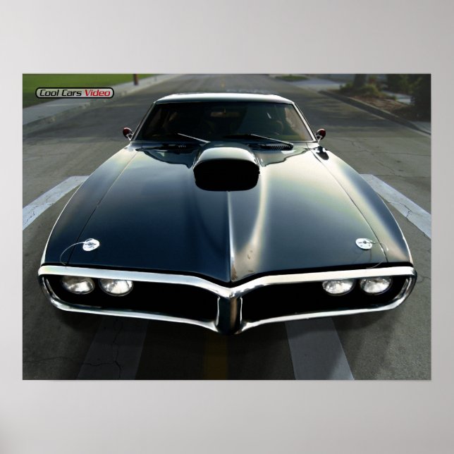 Poster Foiseau (Devant)