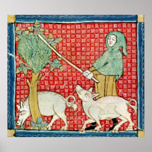 Poster Fol.59v November: Gathering Acorns